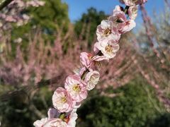-雨花胜境