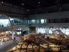 -自贡恐龙博物馆