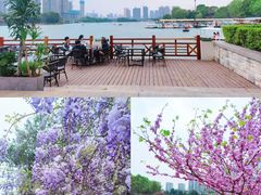 -湖南广播电视台娱乐频道