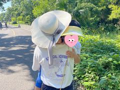 -张坝桂圆林公园