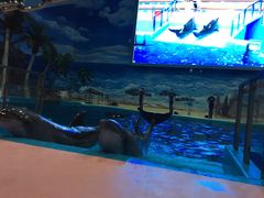 -福州罗源湾海洋世界旅游区