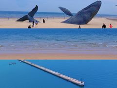 -烟台海昌鲸鲨海洋公园