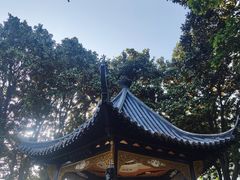 -梅园