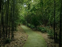 -穹窿山景区