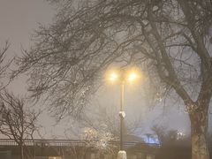 -庐山风景区花径公园