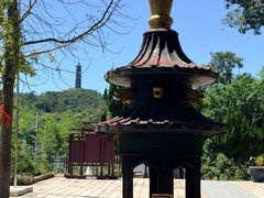 -巢湖姥山岛