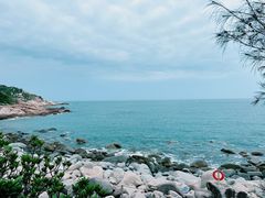 -广东惠东海龟国家级自然保护区