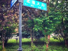 -北极村旅游风景区