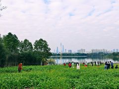 -海珠湖公园