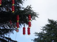 -花溪公园