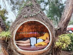 -漳州滨海火山岛自然生态风景区