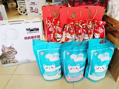 -70cat德文卷毛猫·缅因猫纯种猫舍