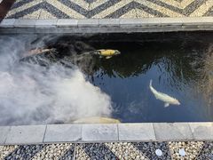 -西安市广仁寺
