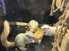 -太平洋海底世界