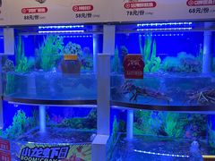-七欣天香辣蟹火锅(武义壶山广场店)