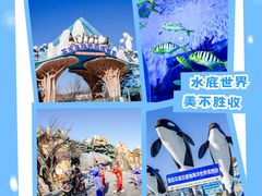 -石家庄极地海洋世界