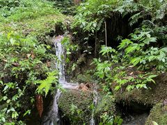 -西岭雪山大飞水景区