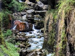 -鹿院坪生态旅游景区
