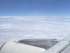 -三只鸟本地特色菜馆(上饶总店)