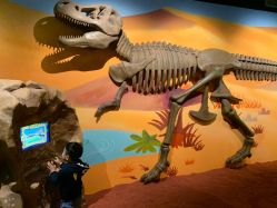 -北京科学中心儿童乐园