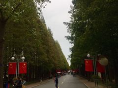 -日照海滨国家森林公园