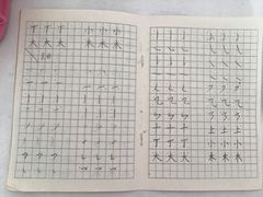 -赵汝飞练字硬笔书法(航头校区)