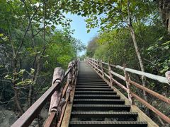 -北京凤凰岭