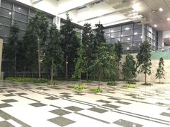 -樟宜机场免税店