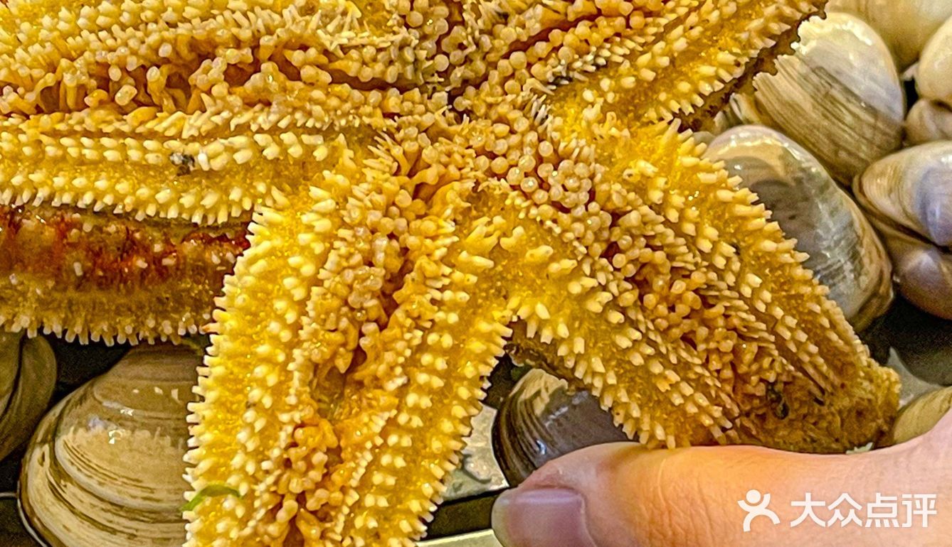 只摆虾蟹贝鱼🦀️不做牛羊肉的才叫海鲜自助吧❗️真的吃回本了