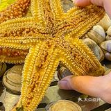 只摆虾蟹贝鱼🦀️不做牛羊肉的才叫海鲜自助吧❗️真的吃回本了