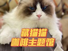 -藏猫猫咖啡主题馆(中央大道店)