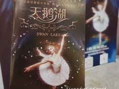 -厦门歌舞剧院