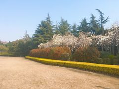 -上海市龙华烈士陵园