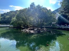 -黔灵山公园