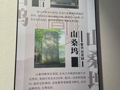 -大唐贡茶院