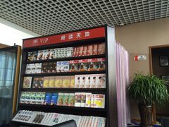 -乌鲁木齐天山国际机场-T3航站楼