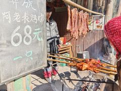 -呀路古热带植物园