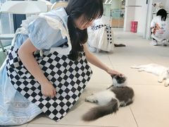 -怪兽屋·羊驼·猫咖·狗咖(俊华广场店)