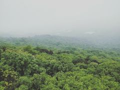 -紫金山山顶公园