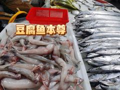 -金海湾海鲜排档(朱家尖店)