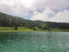 -武陵山森林公园