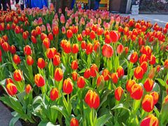 -杭州市第一人民医院(湖滨院区)