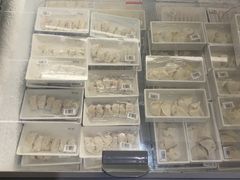 -野妹火锅(龙岗店)
