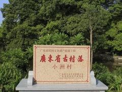 -小洲村