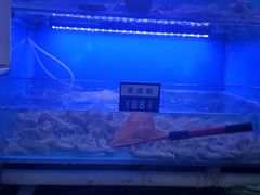 椒盐皮皮虾-老虎滩大连海鲜烧烤(建邺云锦路总店)