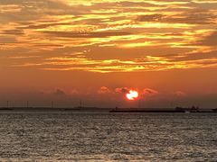 -上海吴淞炮台湾国家湿地公园