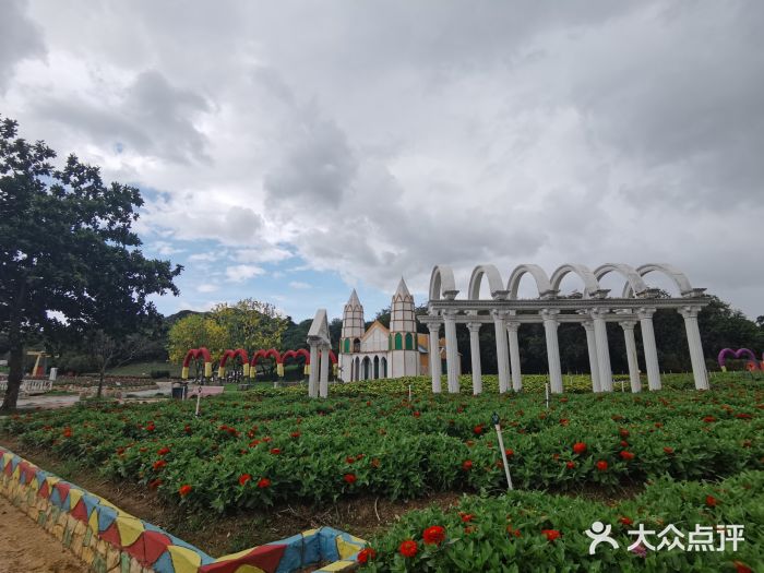 松山湖南湖湾露营营地图片
