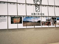 -Seesaw Coffee(武商MALL·武广店)