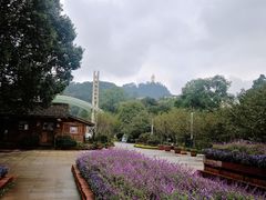 -南山植物园