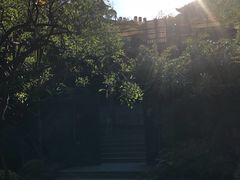-金鸡山公园